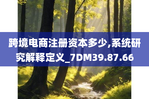 跨境电商注册资本多少,系统研究解释定义_7DM39.87.66