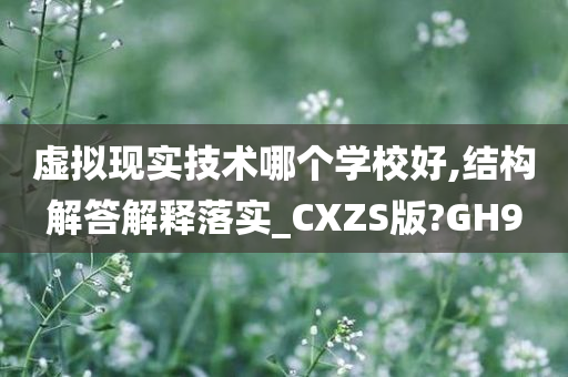 虚拟现实技术哪个学校好,结构解答解释落实_CXZS版?GH9