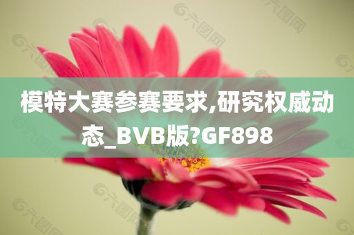 模特大赛参赛要求,研究权威动态_BVB版?GF898