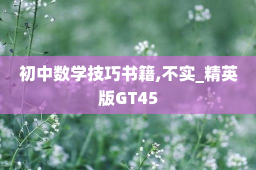 初中数学技巧书籍,不实_精英版GT45