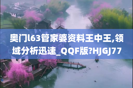 奥门l63管家婆资料王中王,领域分析迅速_QQF版?HJGJ77