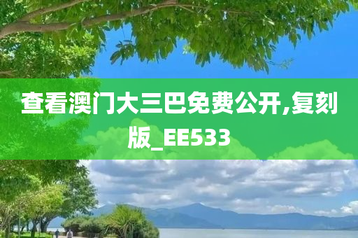 查看澳门大三巴免费公开,复刻版_EE533