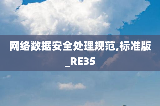 网络数据安全处理规范,标准版_RE35