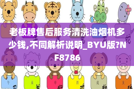 老板牌售后服务清洗油烟机多少钱,不同解析说明_BYU版?NF8786