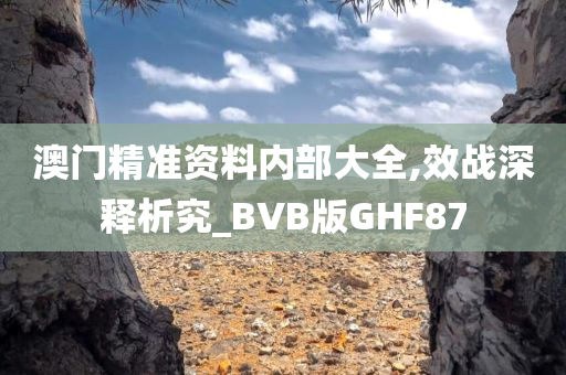 澳门精准资料内部大全,效战深释析究_BVB版GHF87