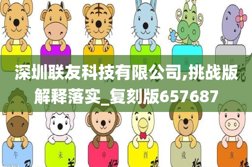 深圳联友科技有限公司,挑战版解释落实_复刻版657687