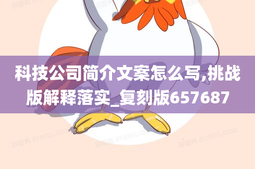 科技公司简介文案怎么写,挑战版解释落实_复刻版657687