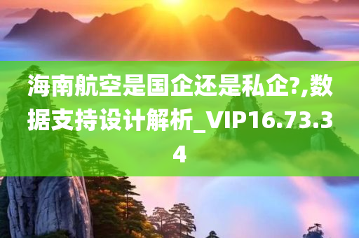 海南航空是国企还是私企?,数据支持设计解析_VIP16.73.34