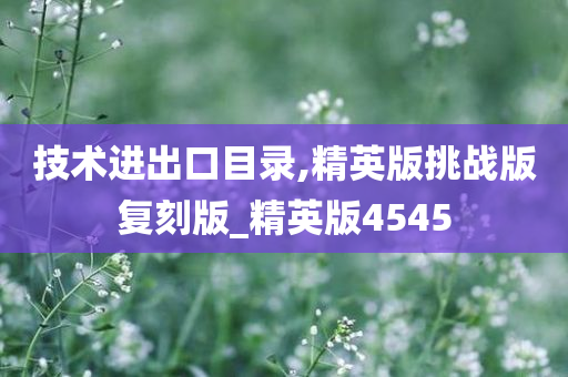 技术进出口目录,精英版挑战版复刻版_精英版4545