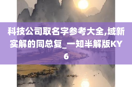 科技公司取名字参考大全,域新实解的同总复_一知半解版KY6