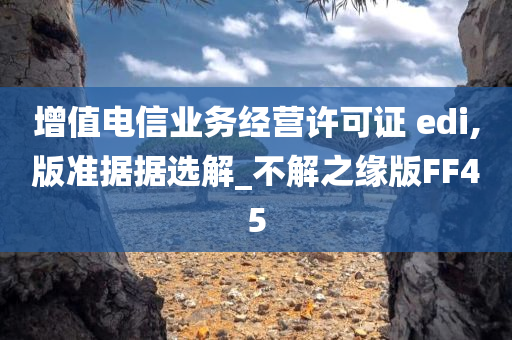 增值电信业务经营许可证 edi,版准据据选解_不解之缘版FF45