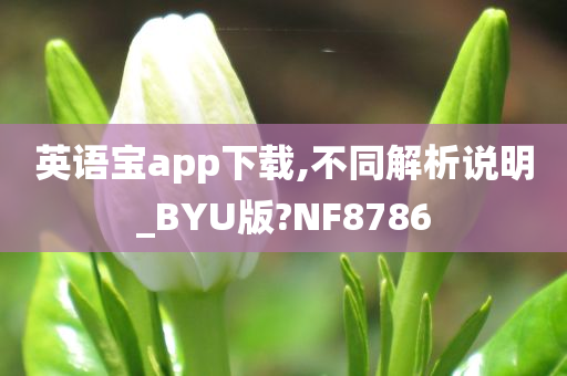 英语宝app下载,不同解析说明_BYU版?NF8786