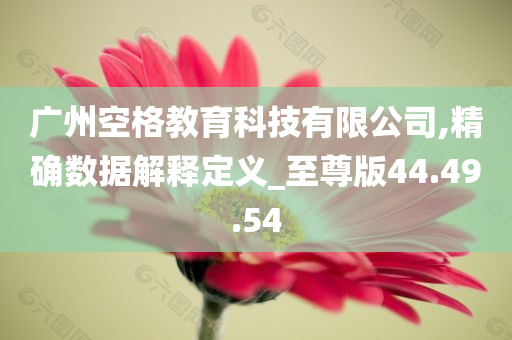 广州空格教育科技有限公司,精确数据解释定义_至尊版44.49.54