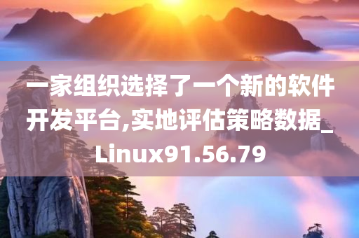 一家组织选择了一个新的软件开发平台,实地评估策略数据_Linux91.56.79