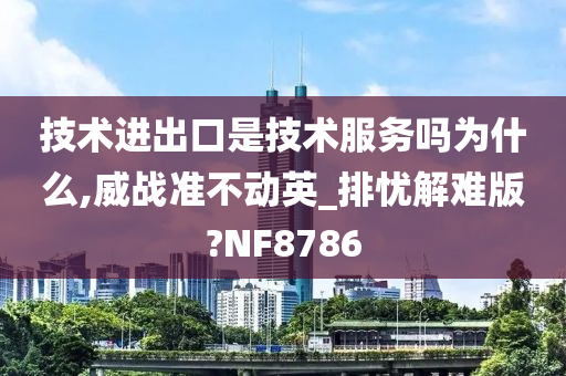 技术进出口是技术服务吗为什么,威战准不动英_排忧解难版?NF8786