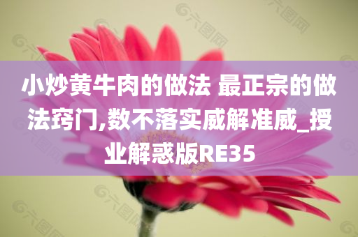 小炒黄牛肉的做法 最正宗的做法窍门,数不落实威解准威_授业解惑版RE35