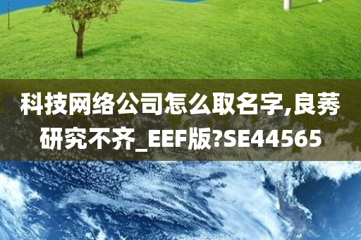 科技网络公司怎么取名字,良莠研究不齐_EEF版?SE44565