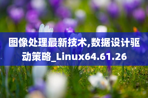 图像处理最新技术,数据设计驱动策略_Linux64.61.26