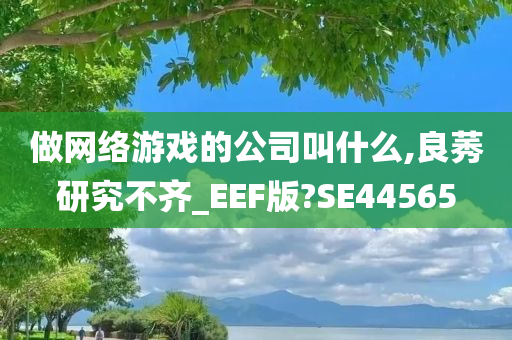 做网络游戏的公司叫什么,良莠研究不齐_EEF版?SE44565