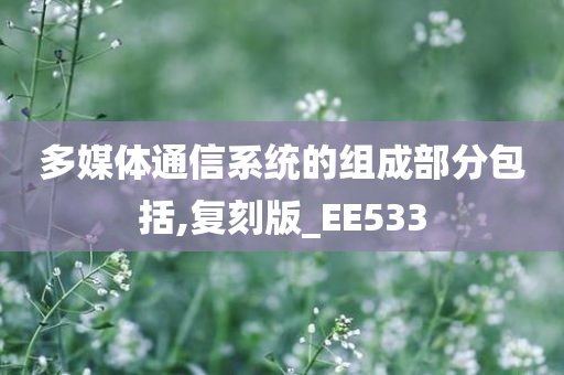 多媒体通信系统的组成部分包括,复刻版_EE533