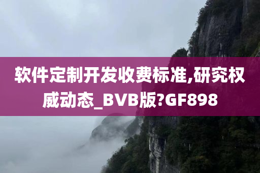 软件定制开发收费标准,研究权威动态_BVB版?GF898