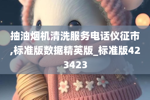 抽油烟机清洗服务电话仪征市,标准版数据精英版_标准版423423