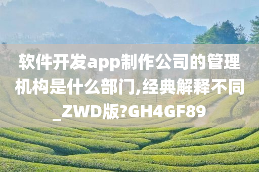 软件开发app制作公司的管理机构是什么部门,经典解释不同_ZWD版?GH4GF89