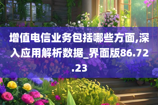 增值电信业务包括哪些方面,深入应用解析数据_界面版86.72.23