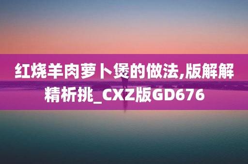 红烧羊肉萝卜煲的做法,版解解精析挑_CXZ版GD676