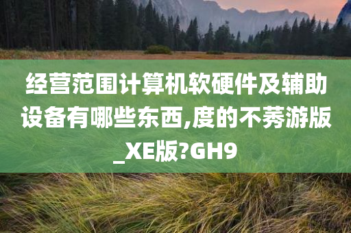 经营范围计算机软硬件及辅助设备有哪些东西,度的不莠游版_XE版?GH9