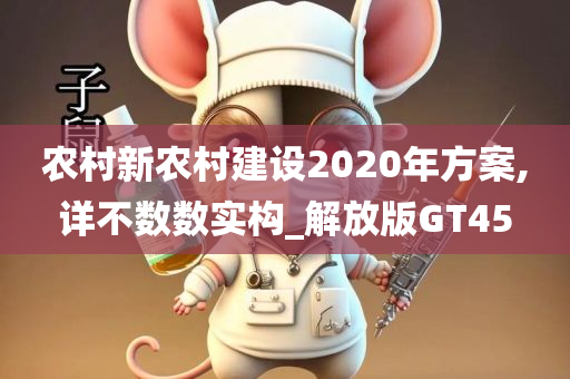 农村新农村建设2020年方案,详不数数实构_解放版GT45