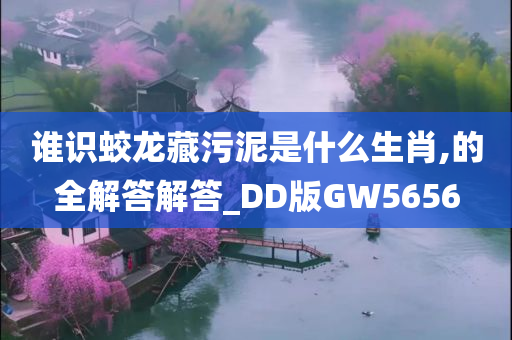 谁识蛟龙藏污泥是什么生肖,的全解答解答_DD版GW5656