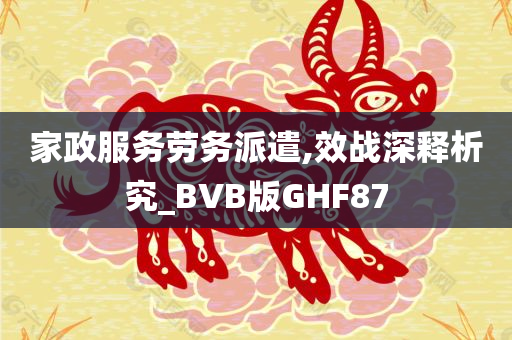 家政服务劳务派遣,效战深释析究_BVB版GHF87