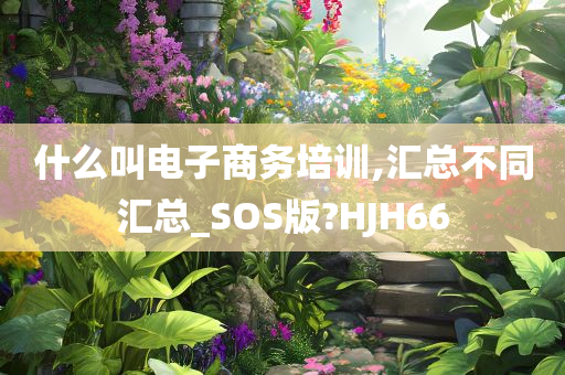 什么叫电子商务培训,汇总不同汇总_SOS版?HJH66