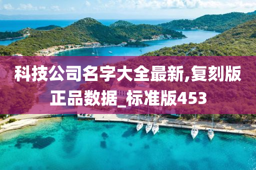 科技公司名字大全最新,复刻版正品数据_标准版453