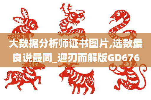 大数据分析师证书图片,选数最良说最同_迎刃而解版GD676