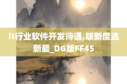 it行业软件开发待遇,版新度选新最_DG版FF45