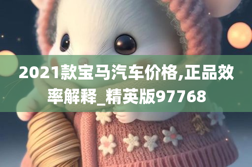 2021款宝马汽车价格,正品效率解释_精英版97768