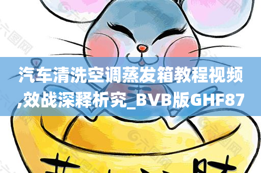 汽车清洗空调蒸发箱教程视频,效战深释析究_BVB版GHF87