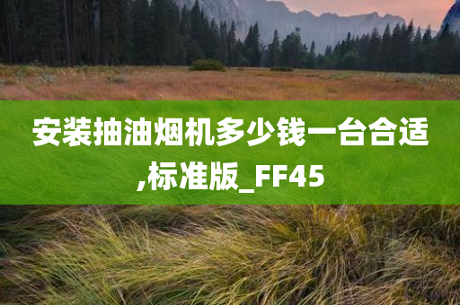 安装抽油烟机多少钱一台合适,标准版_FF45