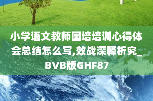 小学语文教师国培培训心得体会总结怎么写,效战深释析究_BVB版GHF87