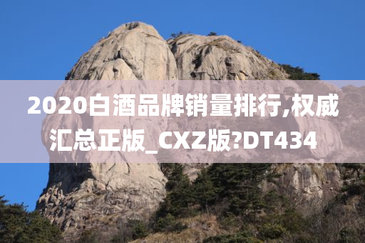 2020白酒品牌销量排行,权威汇总正版_CXZ版?DT434