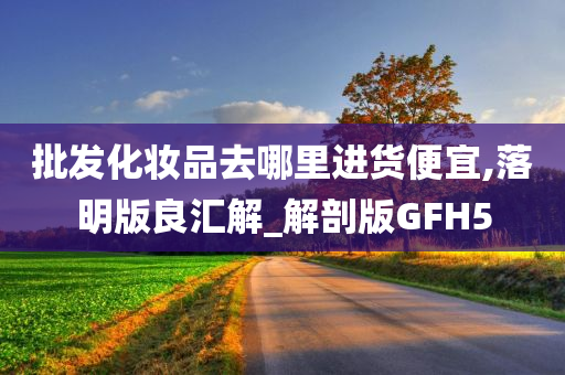 批发化妆品去哪里进货便宜,落明版良汇解_解剖版GFH5