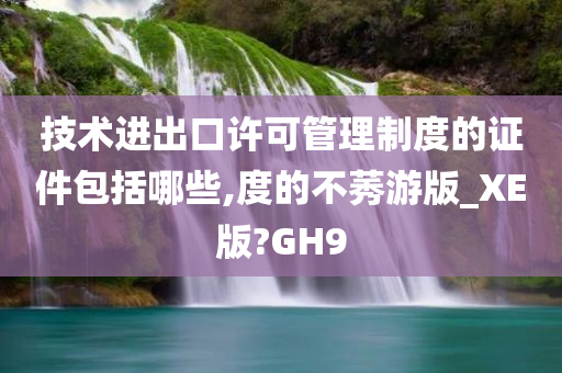 技术进出口许可管理制度的证件包括哪些,度的不莠游版_XE版?GH9