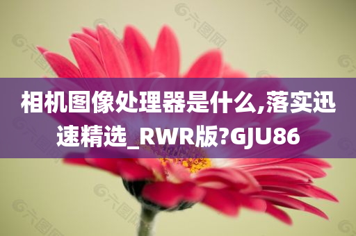 相机图像处理器是什么,落实迅速精选_RWR版?GJU86