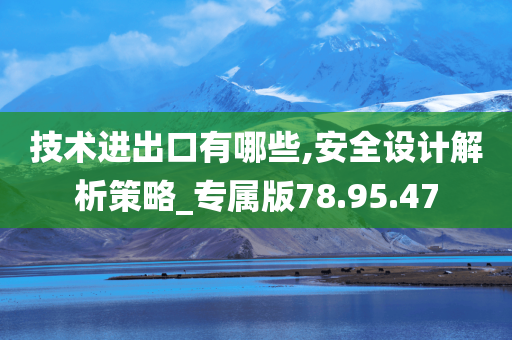 技术进出口有哪些,安全设计解析策略_专属版78.95.47