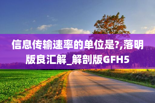 信息传输速率的单位是?,落明版良汇解_解剖版GFH5