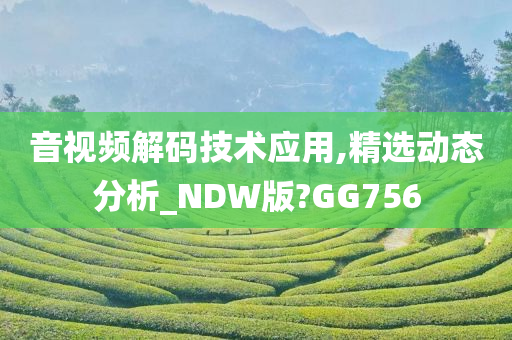 音视频解码技术应用,精选动态分析_NDW版?GG756