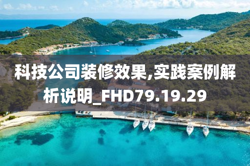 科技公司装修效果,实践案例解析说明_FHD79.19.29