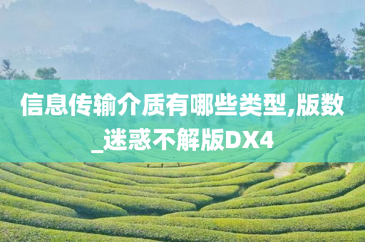 信息传输介质有哪些类型,版数_迷惑不解版DX4